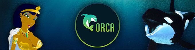 Скачать Orca Player на мобильный