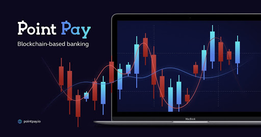 PointPay: отзывы клиентов платформы